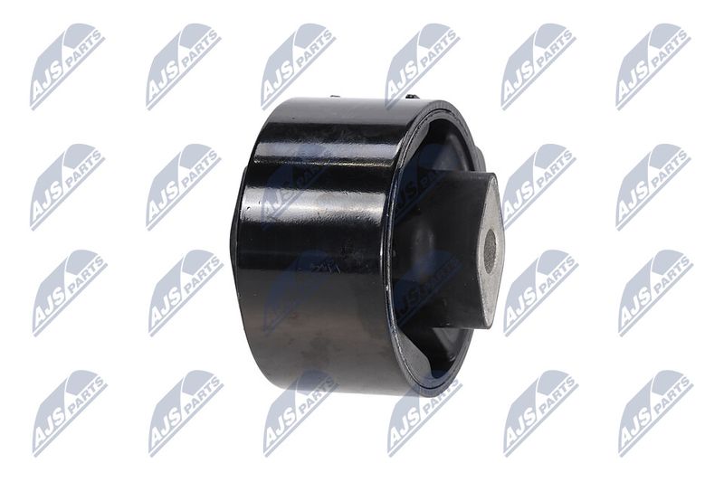 Paigutus, Mootor, NTY ZPS-CH-064