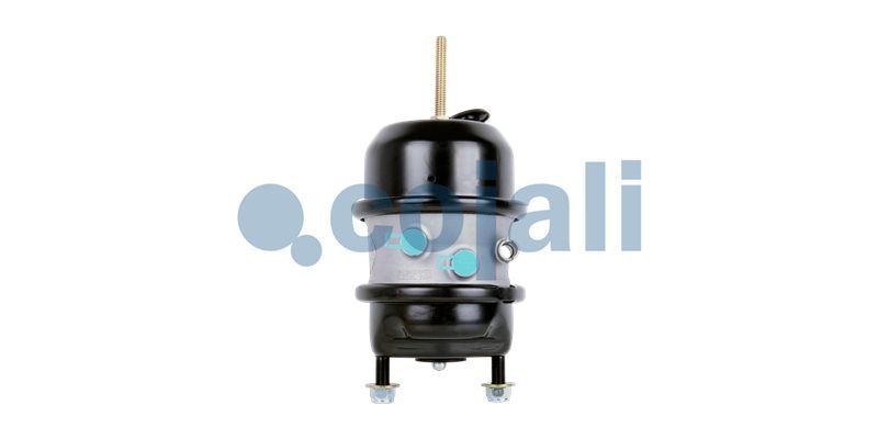 Cilindru multifunctional COJALI 2851101