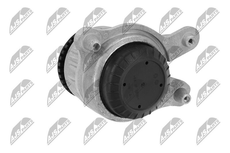 Paigutus, Mootor, NTY ZPS-ME-049