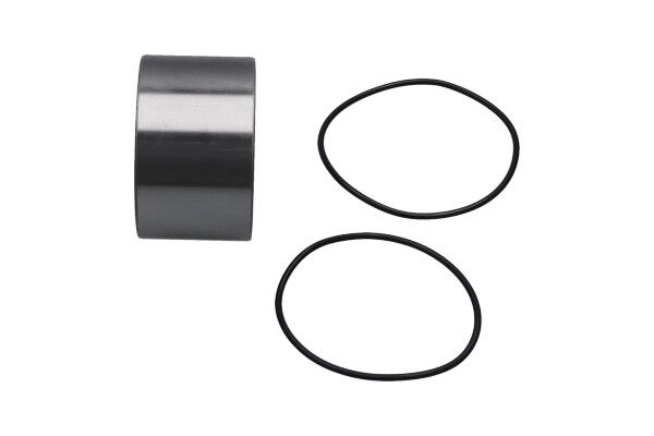 Kavo Parts WBK-10049 Wheel Bearing Kit
