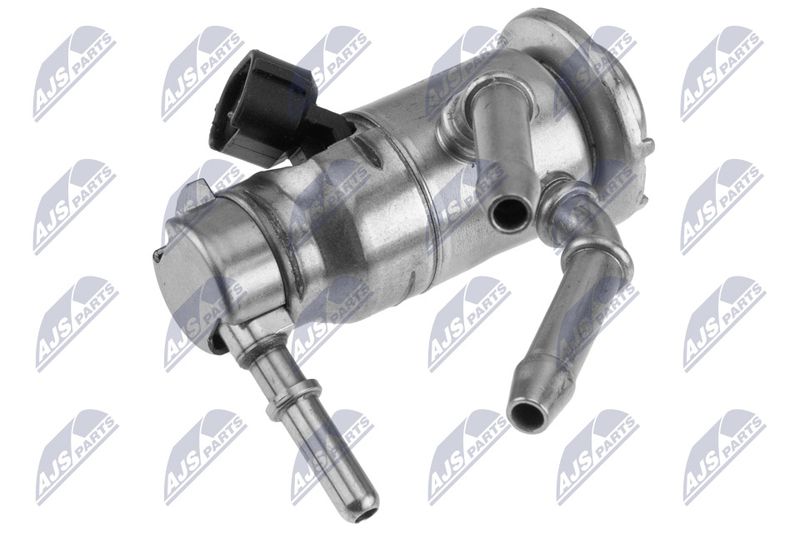 BWP-FR-014_1-WM.JPG
