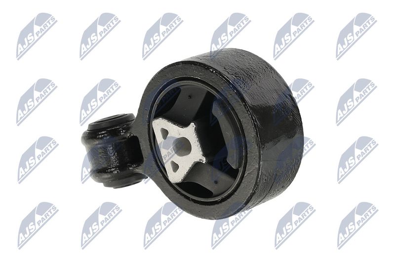 Paigutus, Mootor, NTY ZPS-CH-137