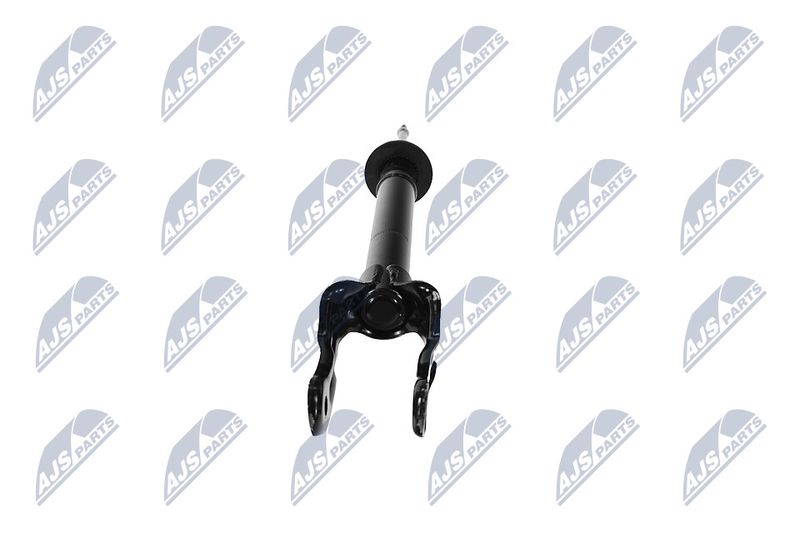 Amort, NTY A-CH-079