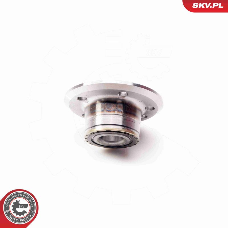 ESEN SKV 29SKV074 Wheel Bearing Kit