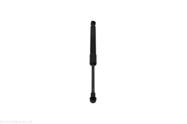AUTOMEGA 210192810 Gas Spring, bonnet