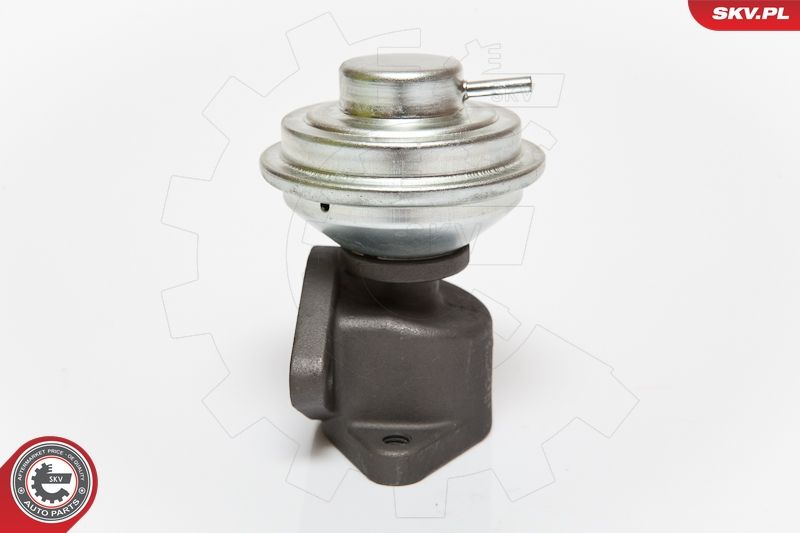 ESEN SKV 14SKV052 EGR Valve