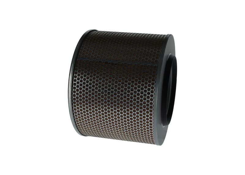 BOSCH 1 457 429 779 Oro filtras