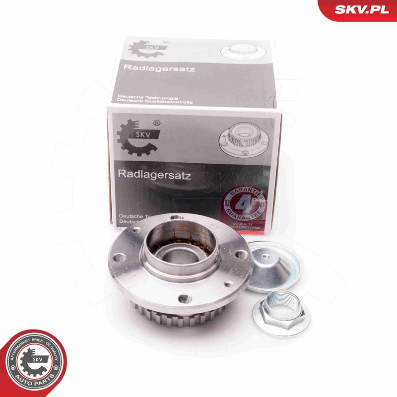 ESEN SKV 29SKV025 - Wheel Bearing Kit