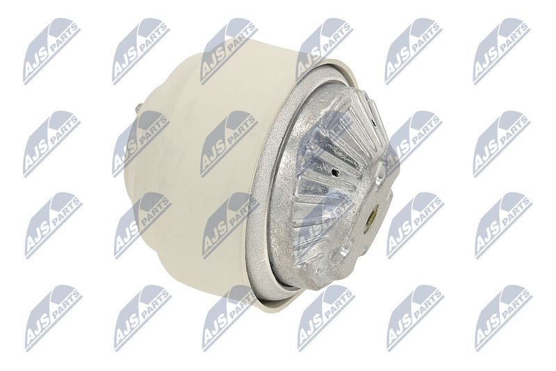 Paigutus, Mootor, NTY ZPS-ME-102