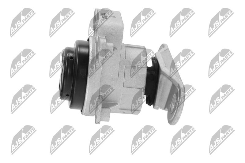 Paigutus, Mootor, NTY ZPS-FR-044