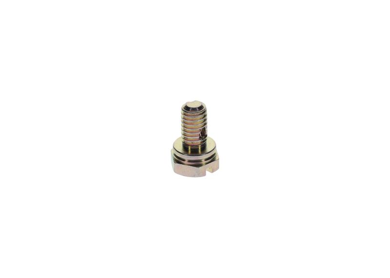 Surub 1 413 453 025 BOSCH