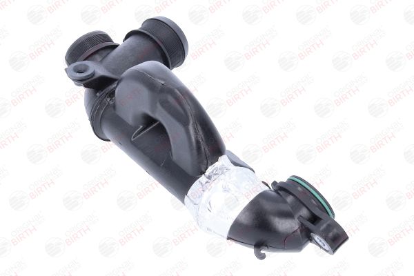 BIRTH 55668 Charge Air Hose