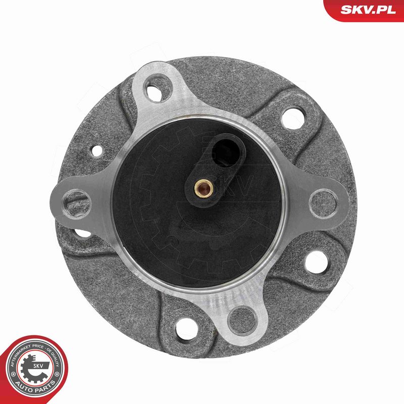 ESEN SKV 29SKV707 Wheel Bearing Kit