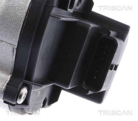 TRIS881325201_2.JPG