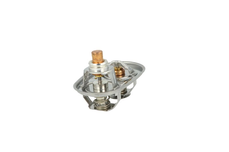 Termostat, chladivo 725393