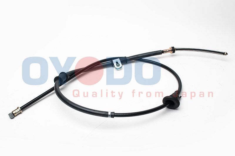 25047071.JPG