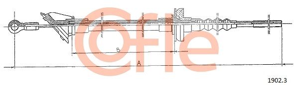 1902.3_1.JPG