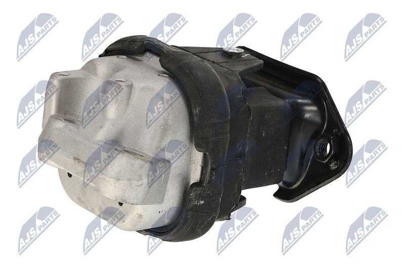 Paigutus, Mootor, NTY ZPS-CH-116