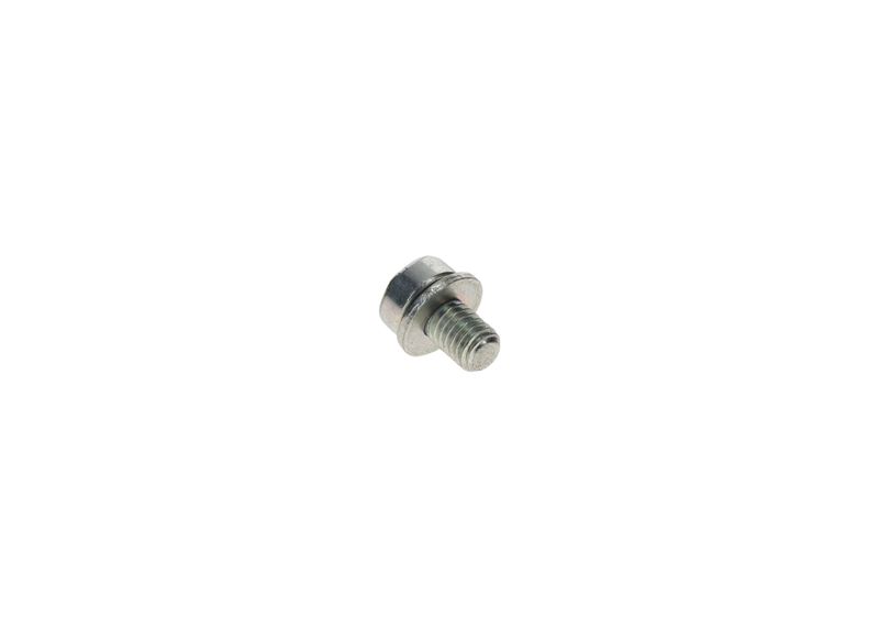 BOSCH F002D13663 Screw