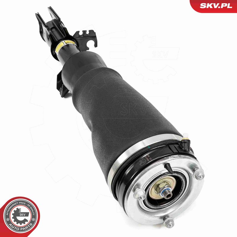 ESEN SKV 58SKV710 Air Suspension Strut