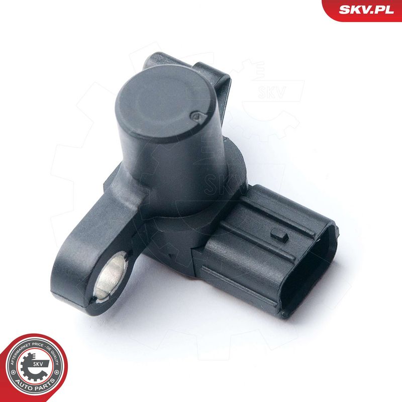 Andur, Nukkvõllipositsioon, ESEN SKV 17SKV251