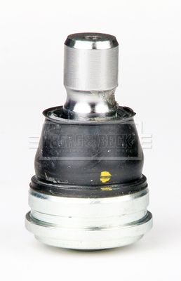 BBJ5774_5423847.JPG
