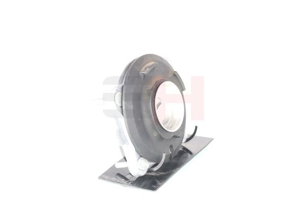 Vedruamordi tugilaager, GH GH-364718