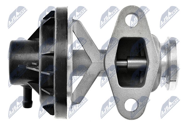 egr-vw-014_4-wm.JPG