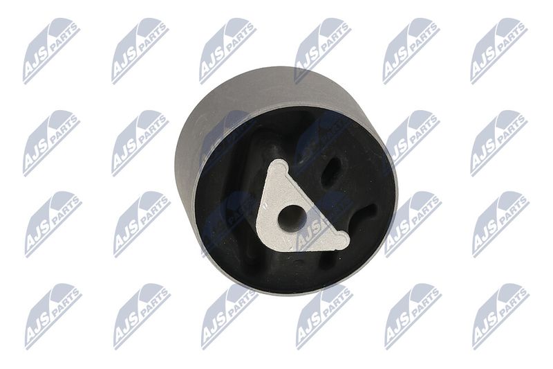 Paigutus, Mootor, NTY ZPS-CH-039