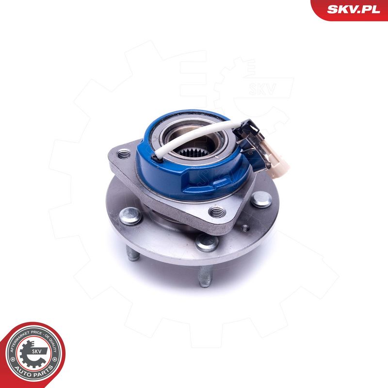 Rattalaagrikomplekt, ESEN...