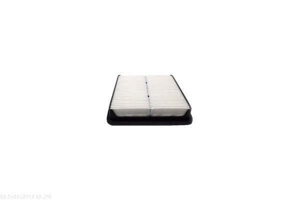 AUTOMEGA 250052710 Air Filter