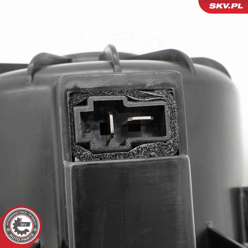 Salongipuhur, ESEN SKV...