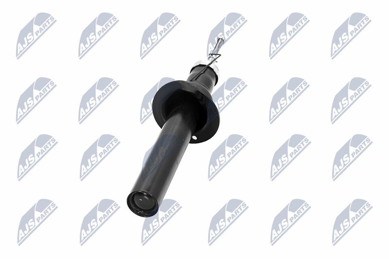 Amort, NTY A-CH-065