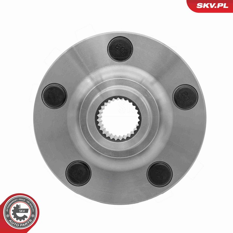 ESEN SKV 29SKV731 Wheel Hub