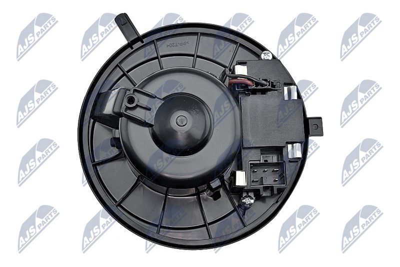 Salongipuhur, NTY EWN-WW-007