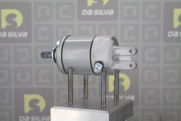 DA SILVA 043588 Starter