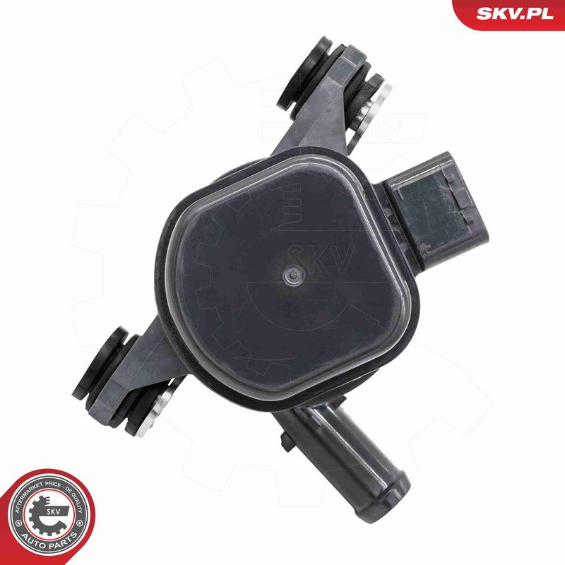 ESEN SKV 22SKV081 Auxiliary Water Pump (cooling water circuit)