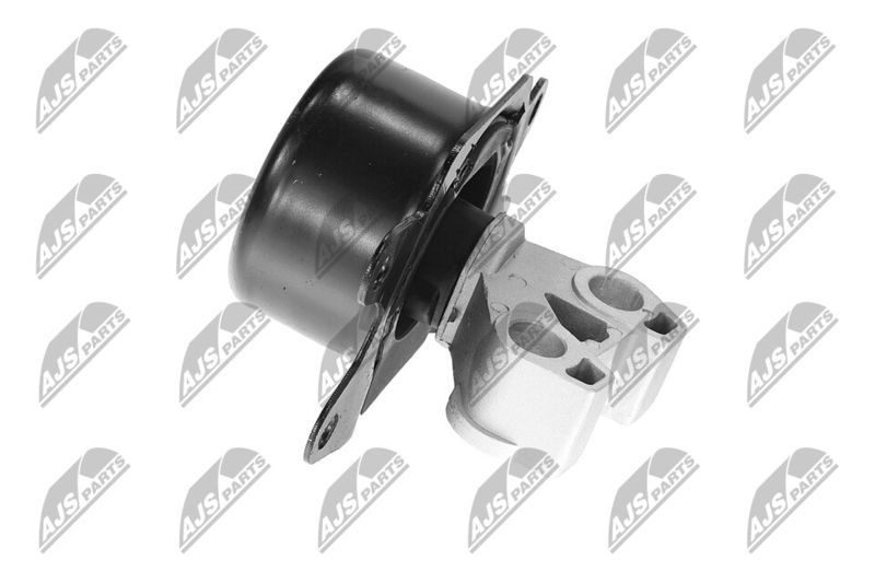 Paigutus, Mootor, NTY ZPS-PL-053
