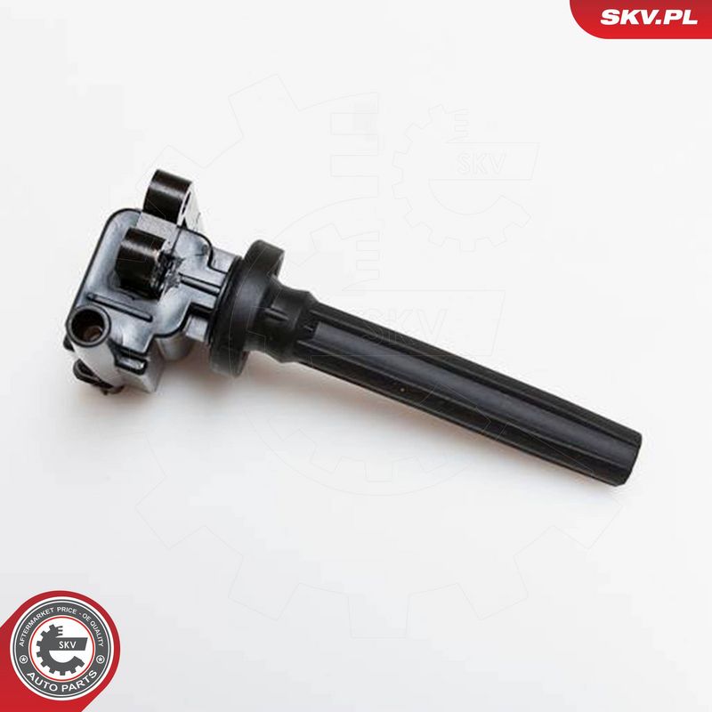 ESEN SKV 03SKV080 Ignition Coil