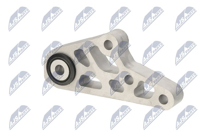 Paigutus, Mootor, NTY ZPS-CH-119