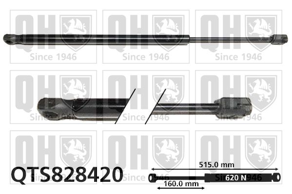 QUINTON HAZELL gázrugó, csomag-/poggyásztér QTS828420