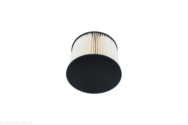 AUTOMEGA 180012610 Fuel Filter
