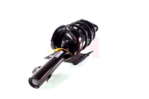 Vedruamort, GH GH-352539C01