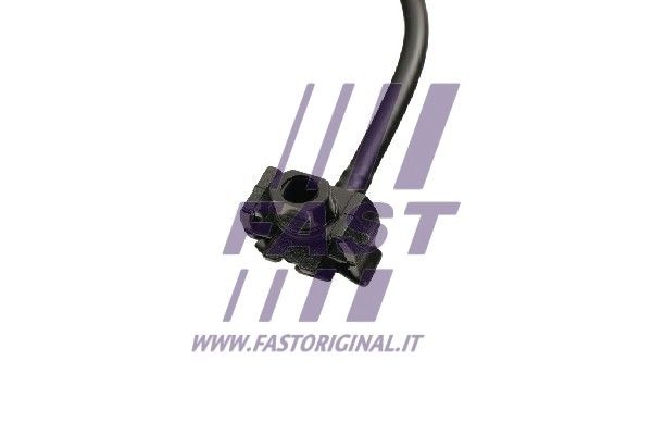 FT61162_2_1.JPG
