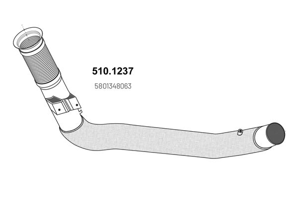 510.1237_1.JPG