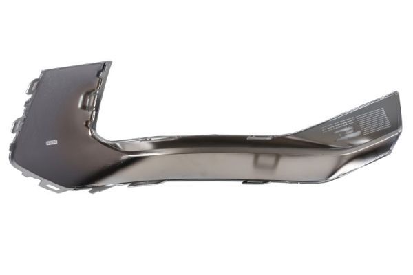 BLIC 6502-07-0048976P Trim/Protection Strip, bumper