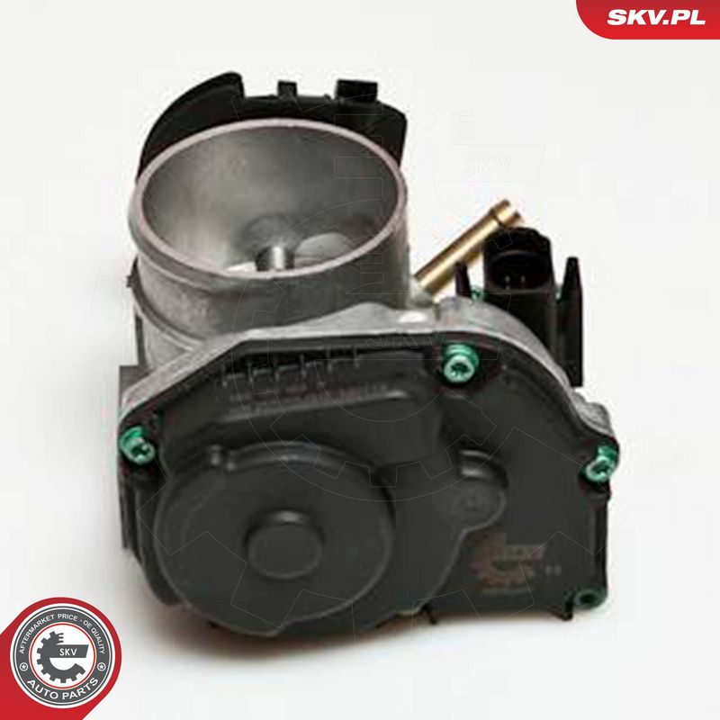 ESEN SKV 12SKV034 Throttle Body