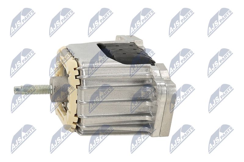 Paigutus, Mootor, NTY ZPS-PE-033