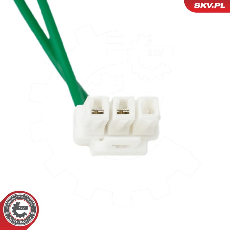 Kütus-etteanne, ESEN SKV 02SKV779