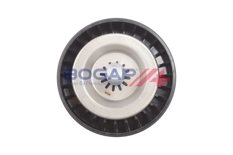 Polea para Correa Poly V BOGAP C1320105 - 3